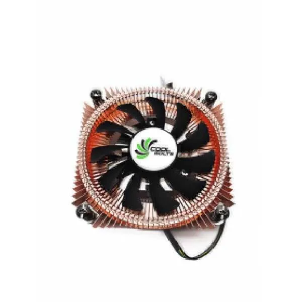 product-600-600 product-600-600